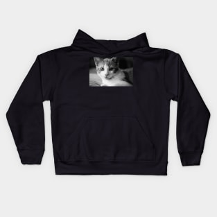 Mr. Tigsworth Kids Hoodie